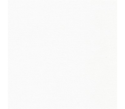Купить Рулонные шторы ОМЕГА FR BLACK-OUT 0225 белый, 250 см в Москве