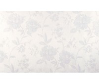 KIARA 12 KIARA 12