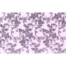 Belvedere 10