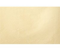 Ca D Oro 08