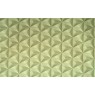 Geometric 21