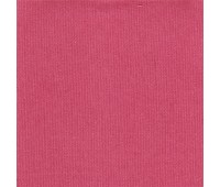 Horion 42