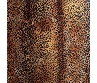 Leopardo 53