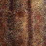 Leopardo 53