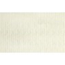 Magnolia 16