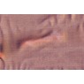 Rio Organza 30