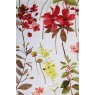 Cotonelo Divine B 01