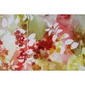 Cotonelo Divine C 01