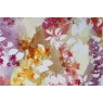 Cotonelo Divine C 21