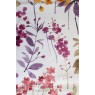 Dolcetto Divine D 21