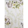 Cotonelo Dynasty A 05