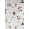 Cotonelo Dynasty C 05