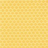 Groove Hive 6294 Amber