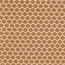 Groove Hive 6302 Curry