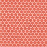 Groove Hive 95 Coral