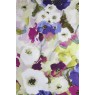 Cotonello Monet A 21