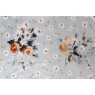 Cotonelo Nello C 02