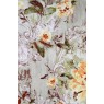 Cotonelo Regency A 08