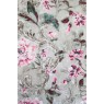Cotonelo Regency C 25