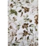 Cotonelo Regency C 52