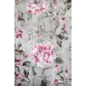 Dolcetto Regency D 25