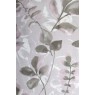 Cotonelo Timeless C 25 Rosa