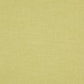 379 Aliya 32 Rise Lime