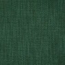 383 18 Jagger Turtle