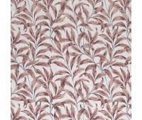 Falezia Blush