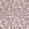 Falezia Blush