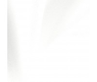 Romney Snow