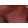 Ambro 91 Velasco Merlot
