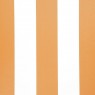 321 Amilly 20 Amilly Pumpkin