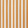 321 Amilly 76 Vira Pumpkin