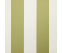 Amilly Olive