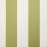 Amilly Olive