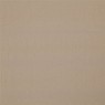 322 Avy 25 Avy Putty