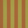 338 Candy Stripes 29 Elvan Star