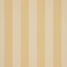 338 Candy Stripes 7 Elvan Buttercup