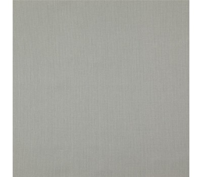 Ткань 341 Canvas 45 Canvas Silver на отрез