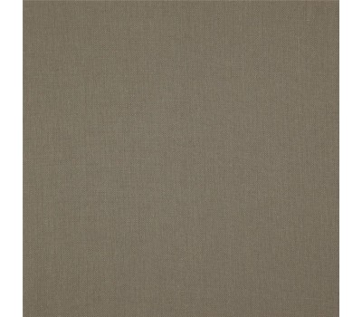 Ткань 341 Canvas 49 Canvas Stone на отрез