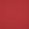 334 62 Colorful Tomato