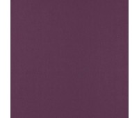 Colorful Plum