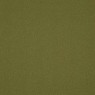 Fence Olive
