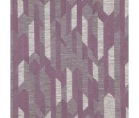 361 Geometric 8 Shape Orchid