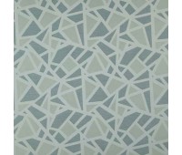 Geometric Marine
