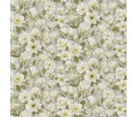 Grandiflora Splitpea
