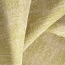 Livenesse Grass