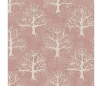 Great Oak Coral