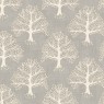 Great Oak Dove